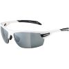 Alpina Sportbrille TRI-SCRAY